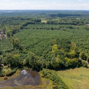 12-print-Walter-Grissom-Lot-12