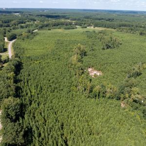 26-print-Walter-Grissom-Lot-26