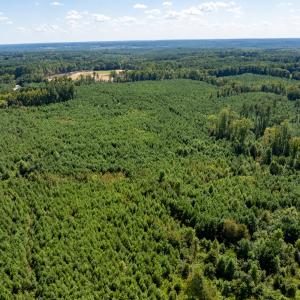 9-print-Walter-Grissom-Lot-9