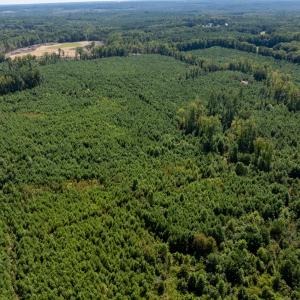 10-print-Walter-Grissom-Lot-10