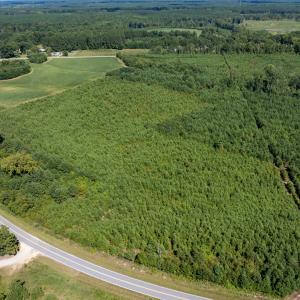 21-print-Walter-Grissom-Lot-21