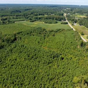 11-print-Walter-Grissom-Lot-11