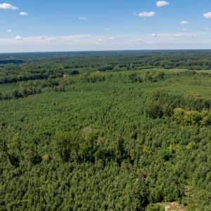 16-print-Walter-Grissom-Lot-16