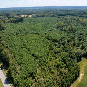 7-print-Walter-Grissom-Lot-7