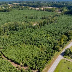 20-print-Walter-Grissom-Lot-20