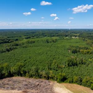 18-print-Walter-Grissom-Lot-18