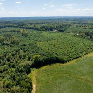 8-print-Walter-Grissom-Lot-8