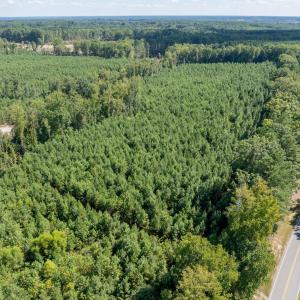 28-print-Walter-Grissom-Lot-28