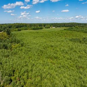 31-print-Walter-Grissom-Lot-31