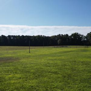 DJI_0419