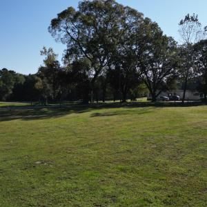 DJI_0422