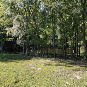 DJI_0425