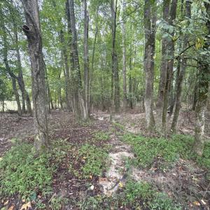 DJI_20250910_124138_350