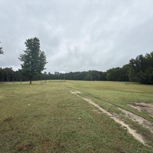 DJI_20250910_124203_887