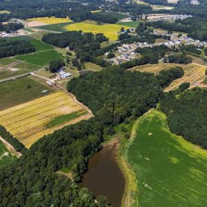 DJI_20250904124011_0063_D