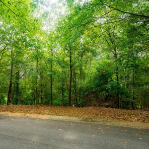 4-web-or-mls-105 Wright Hill-3