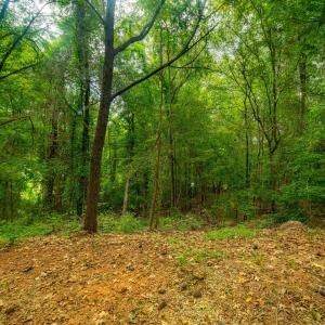 5-web-or-mls-105 Wright Hill-4