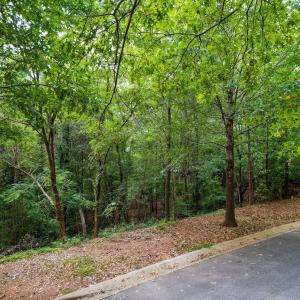 7-web-or-mls-105 Wright Hill-6