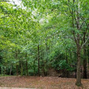 8-web-or-mls-105 Wright Hill-7