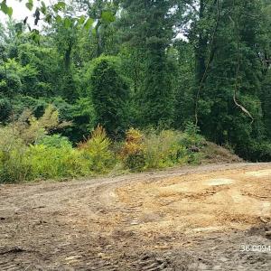 IMG_20180725_154532 (1)