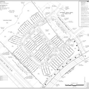 Preliminary Plan_Roanoke Rapids (version
