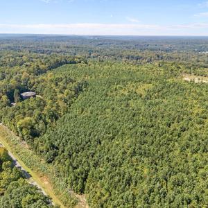 4-web-or-mls-DJI_20250919124408_0029_D