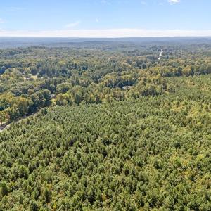 6-web-or-mls-DJI_20250919124439_0031_D