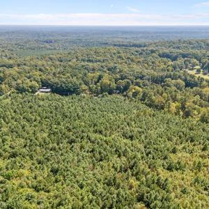 7-web-or-mls-DJI_20250919124502_0032_D