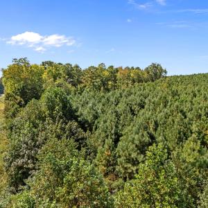 13-web-or-mls-DJI_20250919125059_0038_D