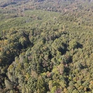 DJI_0503