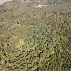 DJI_0505