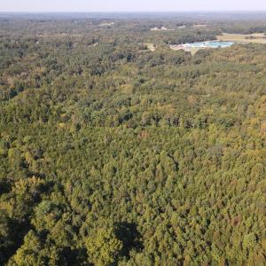 DJI_0508