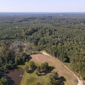 DJI_0516