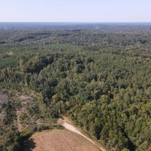 DJI_0517
