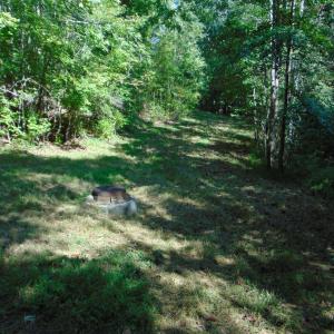 DSC01176