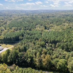 3-web-or-mls-DJI_20250919130012_0040_D