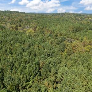 8-web-or-mls-DJI_20250919130428_0046_D