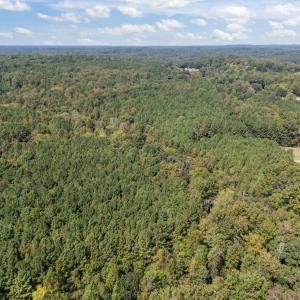 7-web-or-mls-DJI_20250919130411_0045_D