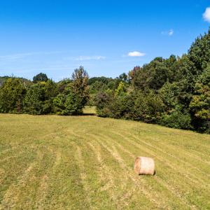 81 Little Creek Ln-11