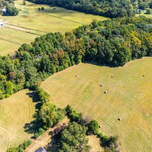 81 Little Creek Ln-10