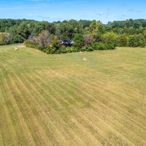 81 Little Creek Ln-9