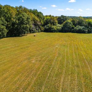 81 Little Creek Ln-8