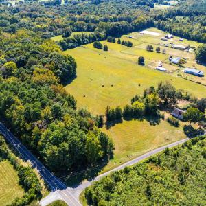81 Little Creek Ln-4