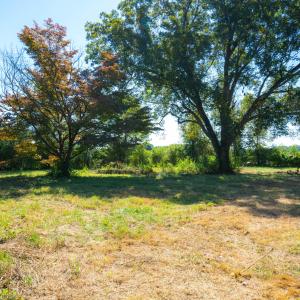 81 Little Creek Ln-24