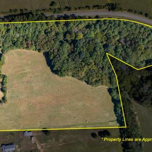 81 Little Creek Ln-Lot Size