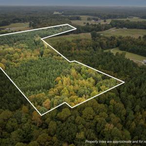 1-web-or-mls-DJI_0178_1