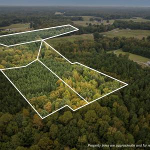 2-web-or-mls-1-print-DJI_0178_2