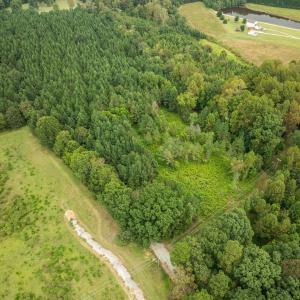 3-web-or-mls-DJI_0167