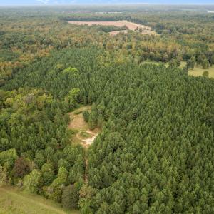 5-web-or-mls-DJI_0169