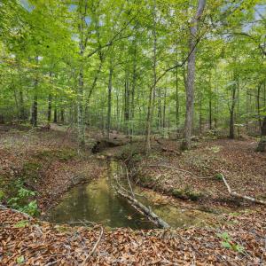 26-web-or-mls-IMG_2514